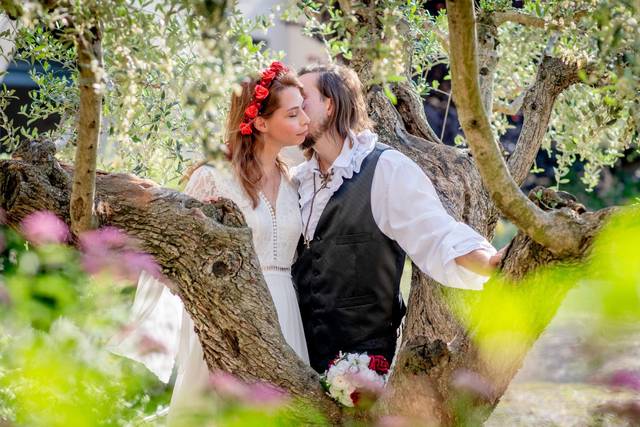 Beso entre los olivos