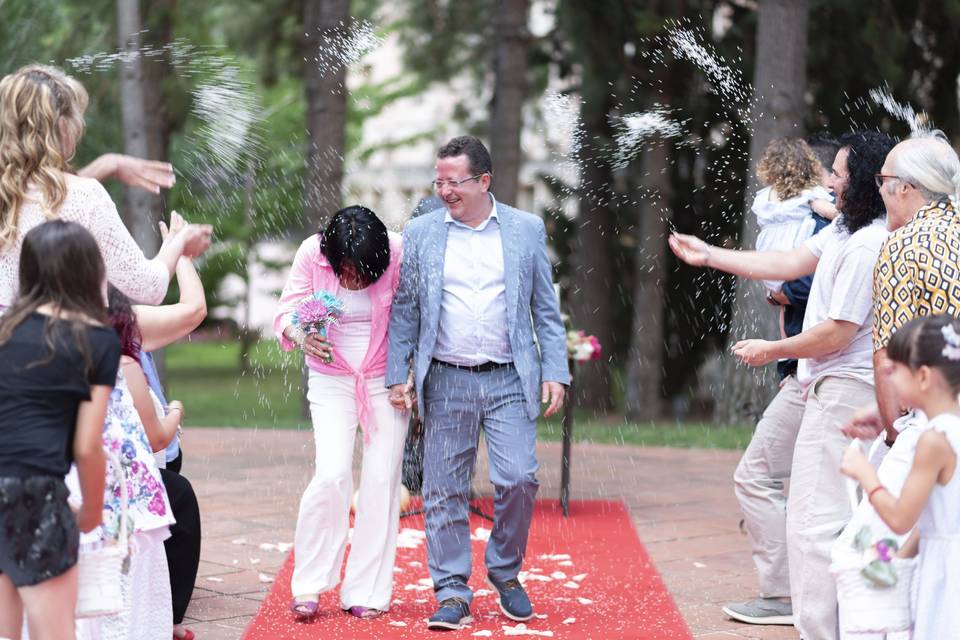 Fotos de la boda en un parque