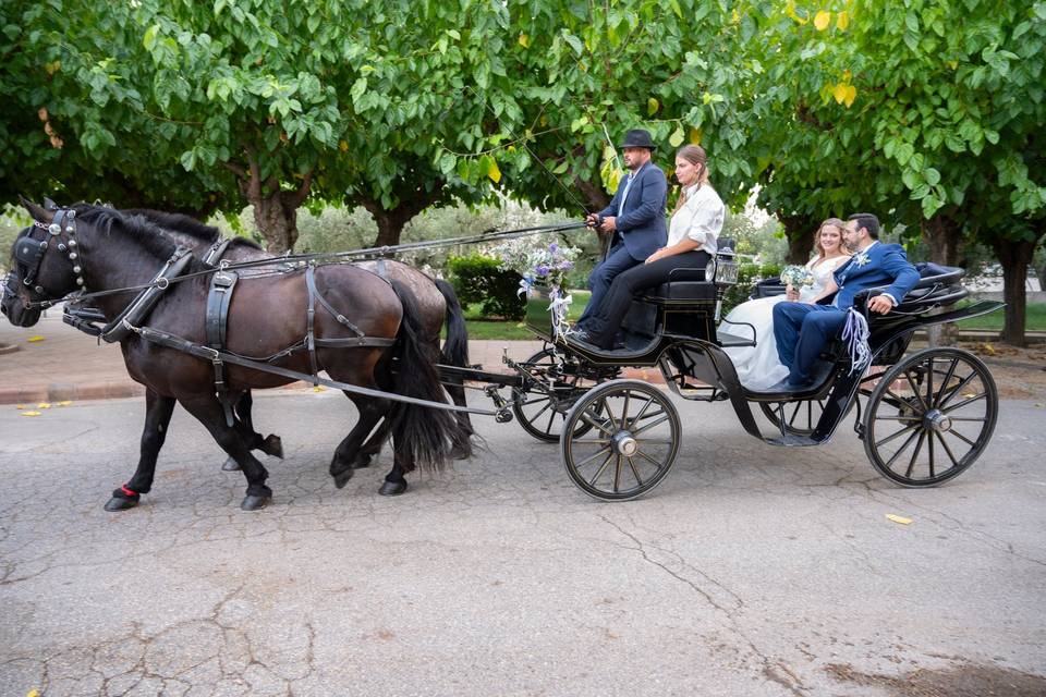 Novios en coche de caballos