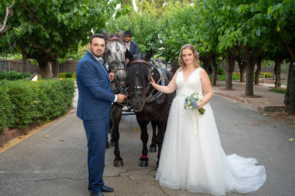 Novios con los caballos