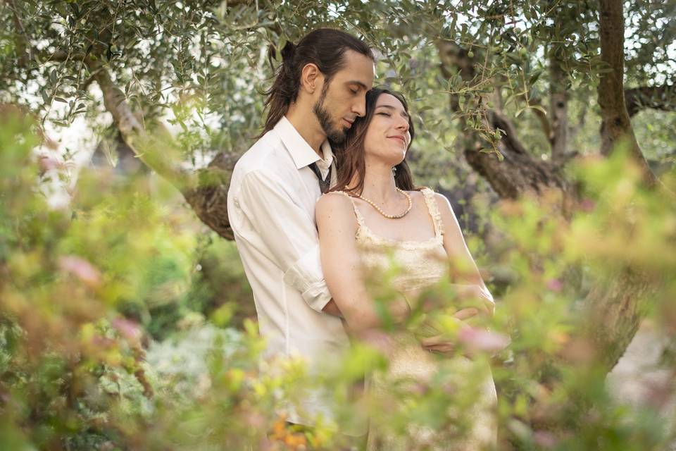 Novios entre olivos