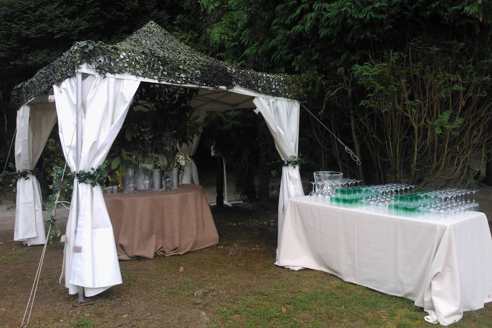 Carpa para bodas