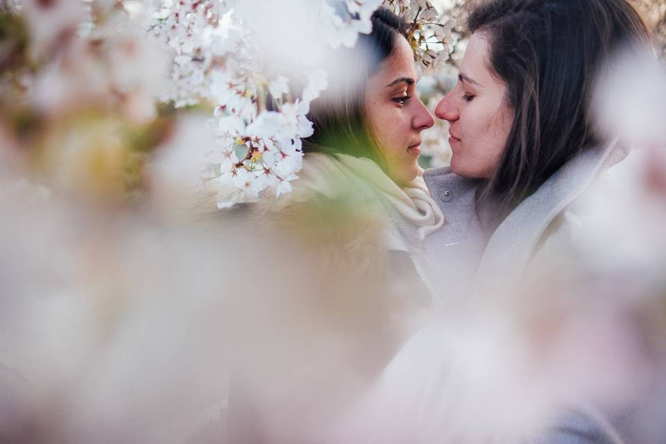 Preboda en primavera