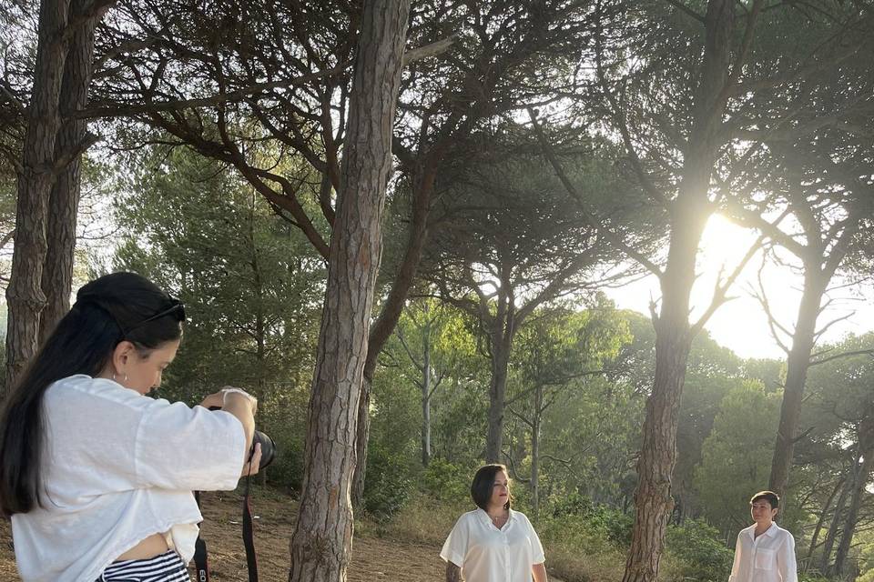 BTS25