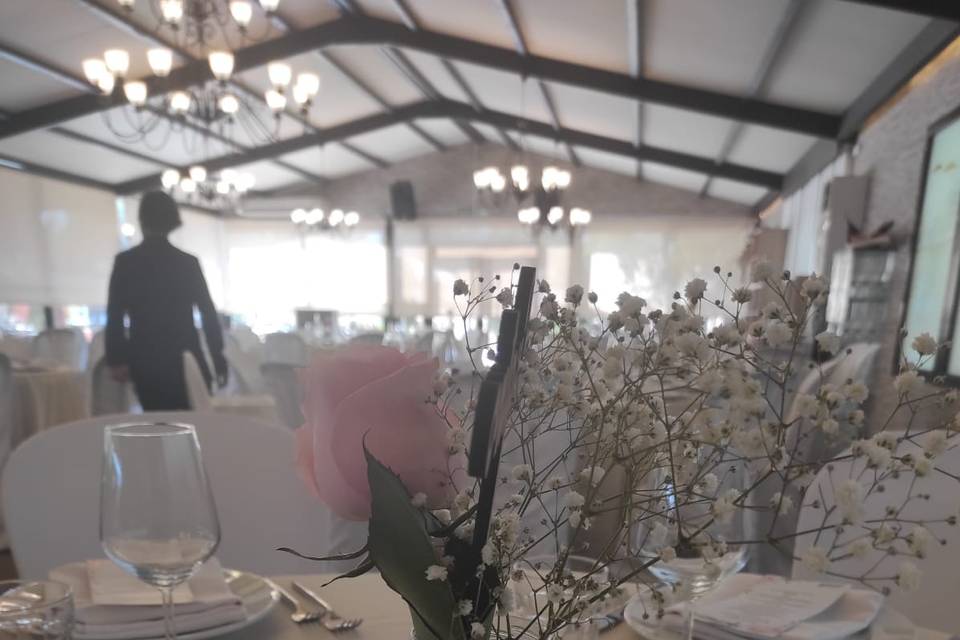 Eventos Venecia