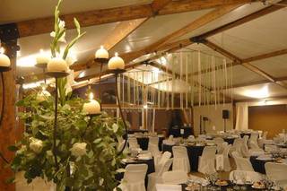 Project Carpas