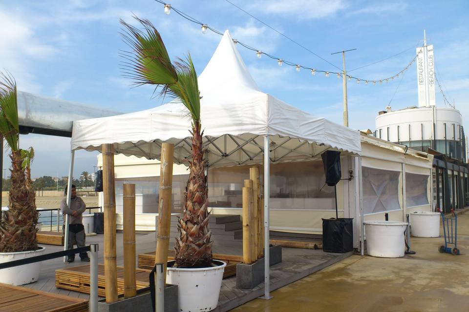 Carpa 5x5 plegable