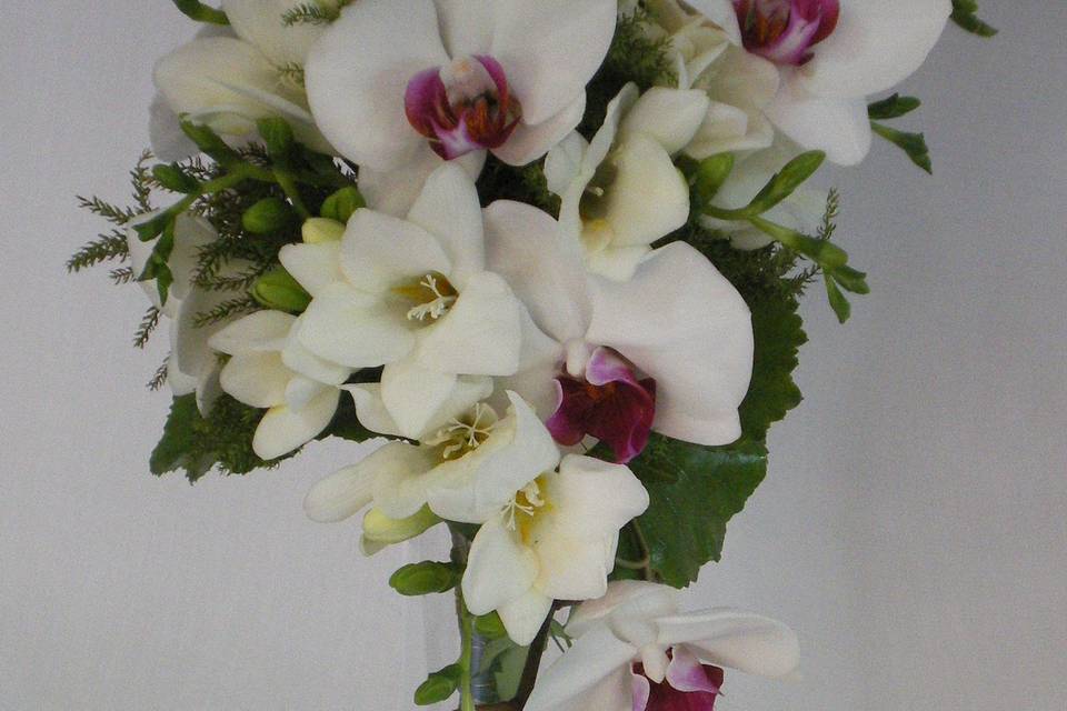 Freesia, orquideas y hiedra