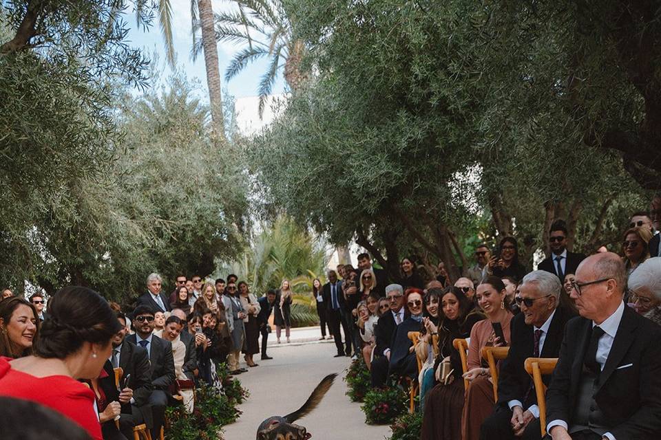 Ceremonia