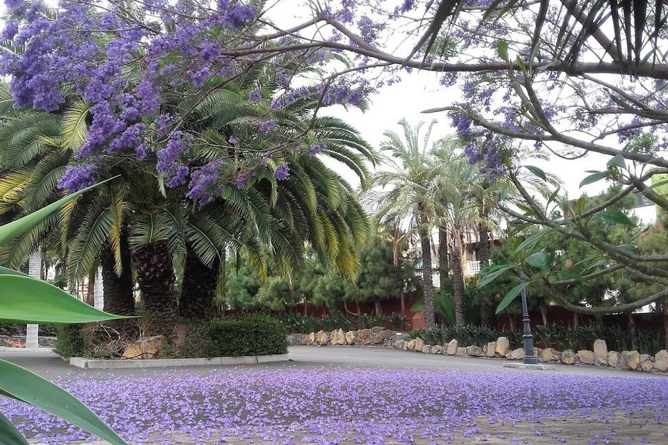 Monasterio & San Sebastián Eventos