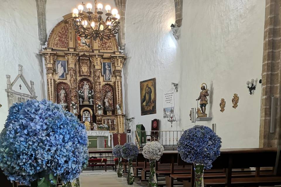 Viana floral iglesias