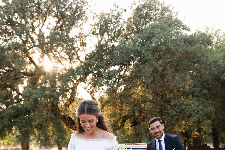 Bodas
