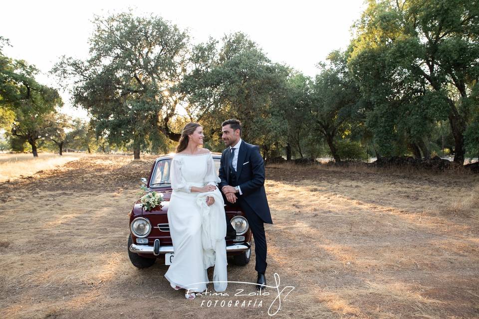 Bodas