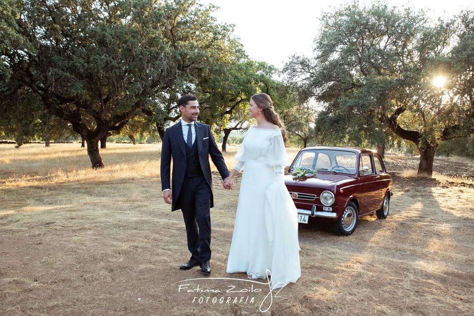 Bodas