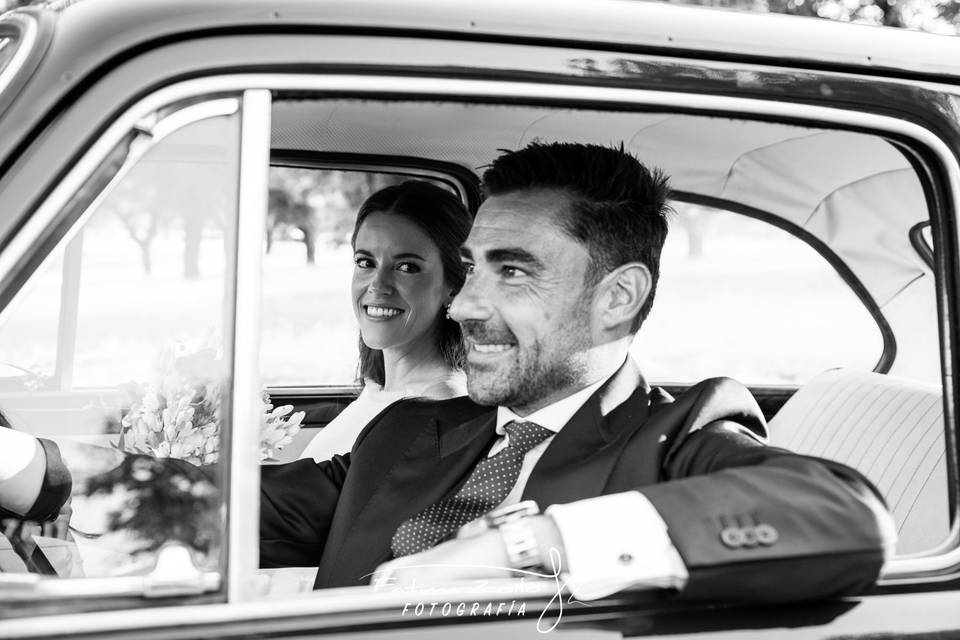 Bodas