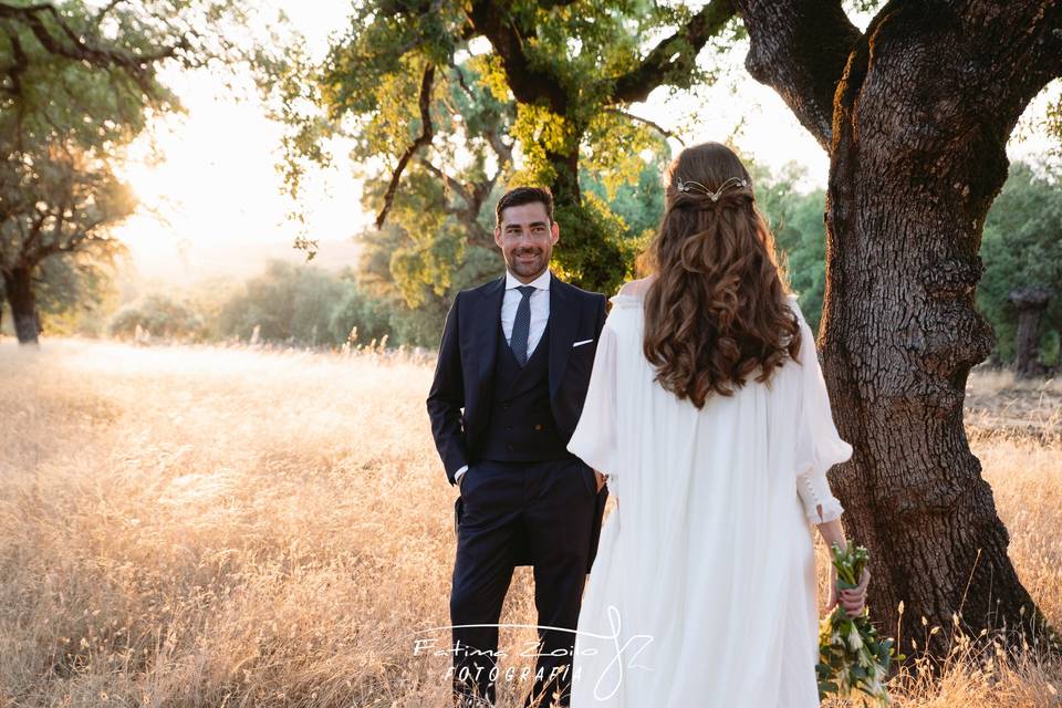 Bodas