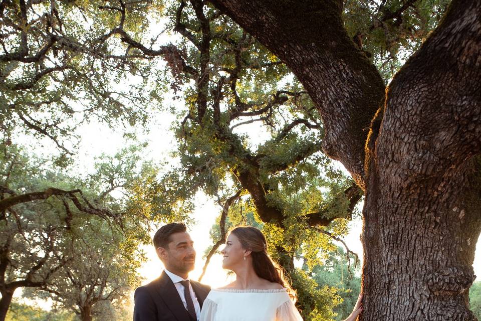 Bodas