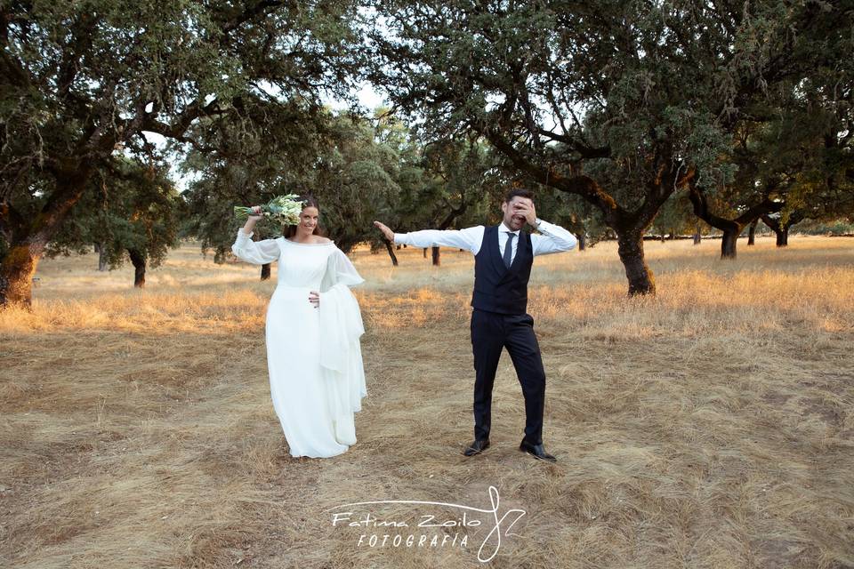 Bodas