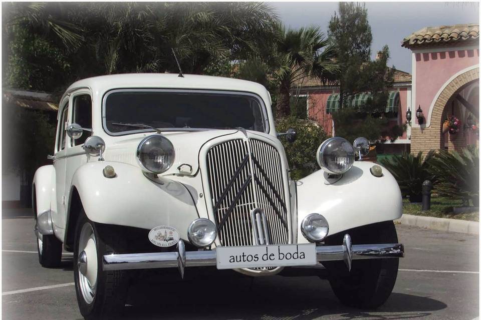 Autos de Boda