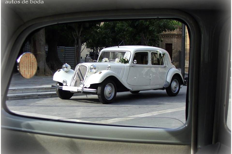 Autos de Boda