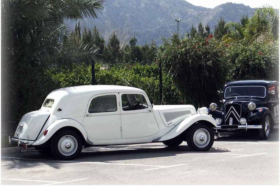 Autos de Boda