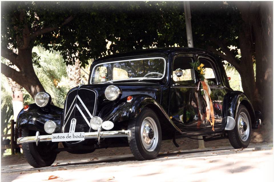 Autos de Boda