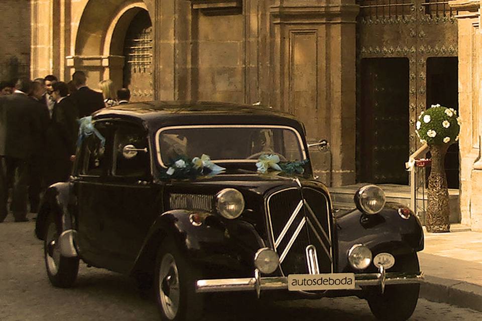 Autos de Boda