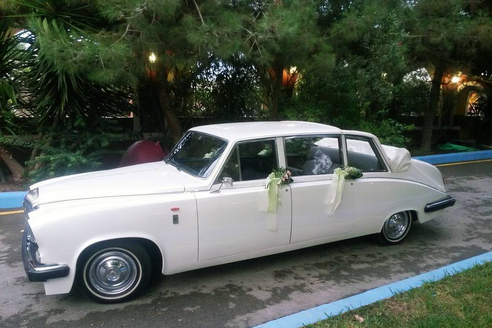 Autos de Boda