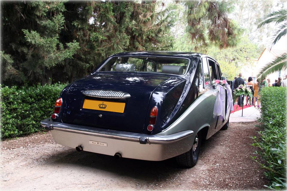 Autos de Boda