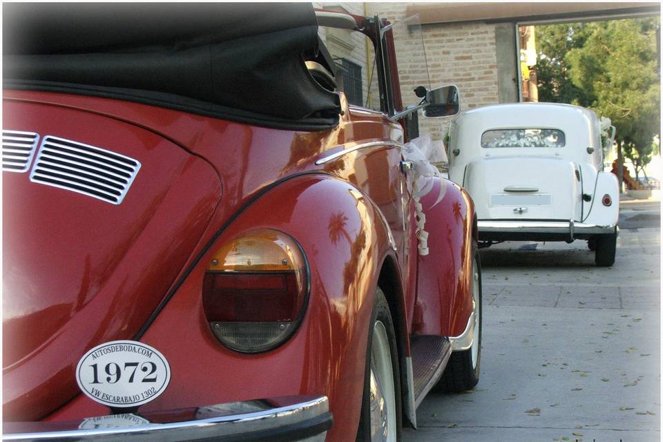 Autos de Boda