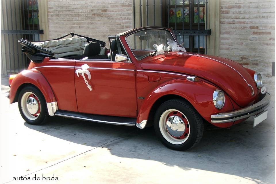 Autos de Boda