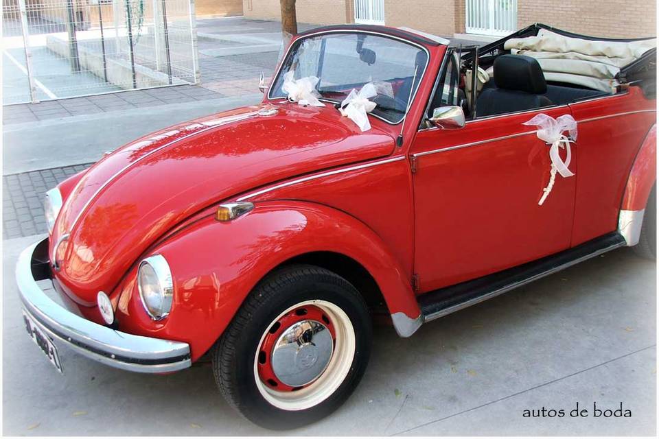 Autos de Boda