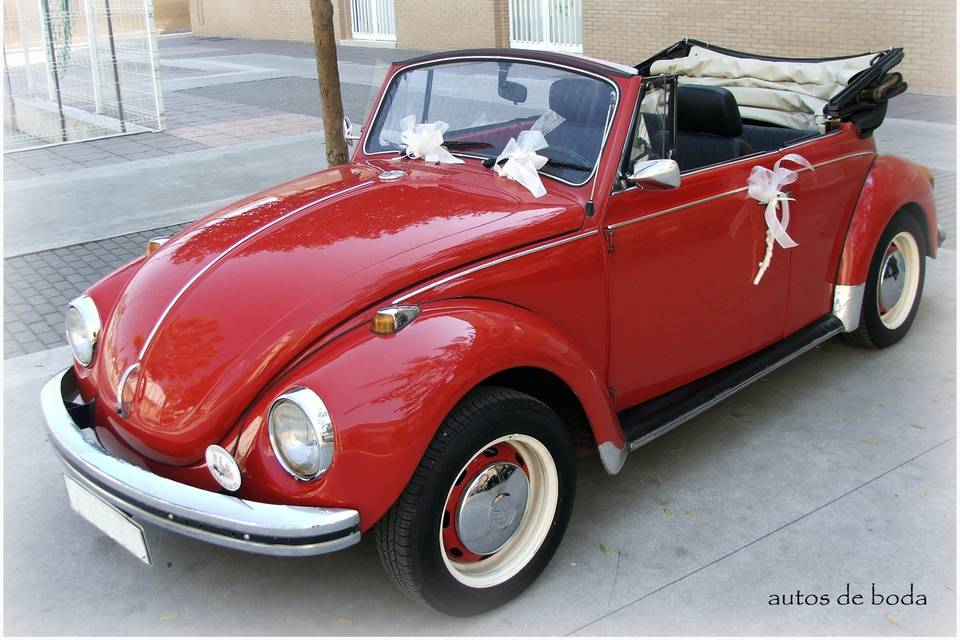 Autos de Boda