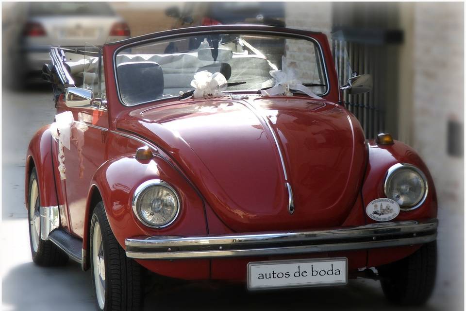 Autos de Boda