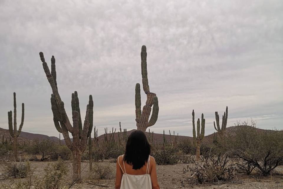 Los Cabos, Baja California