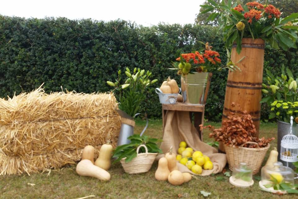 Photocall bodegón