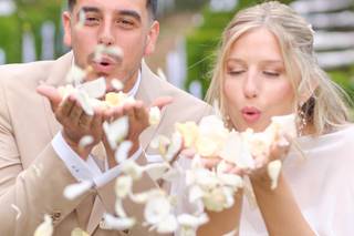 The Dream Wedding