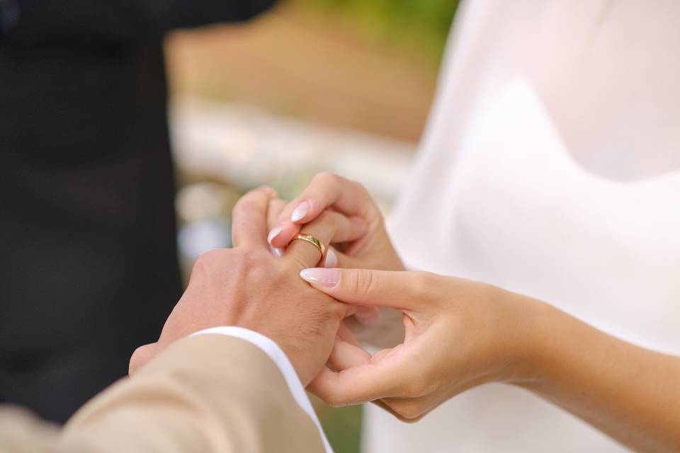 Boda Ch&D