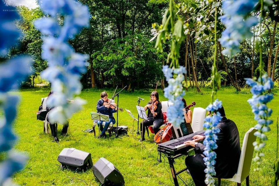 Trio de cuerda y piano