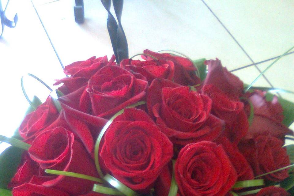 Rosas rojas