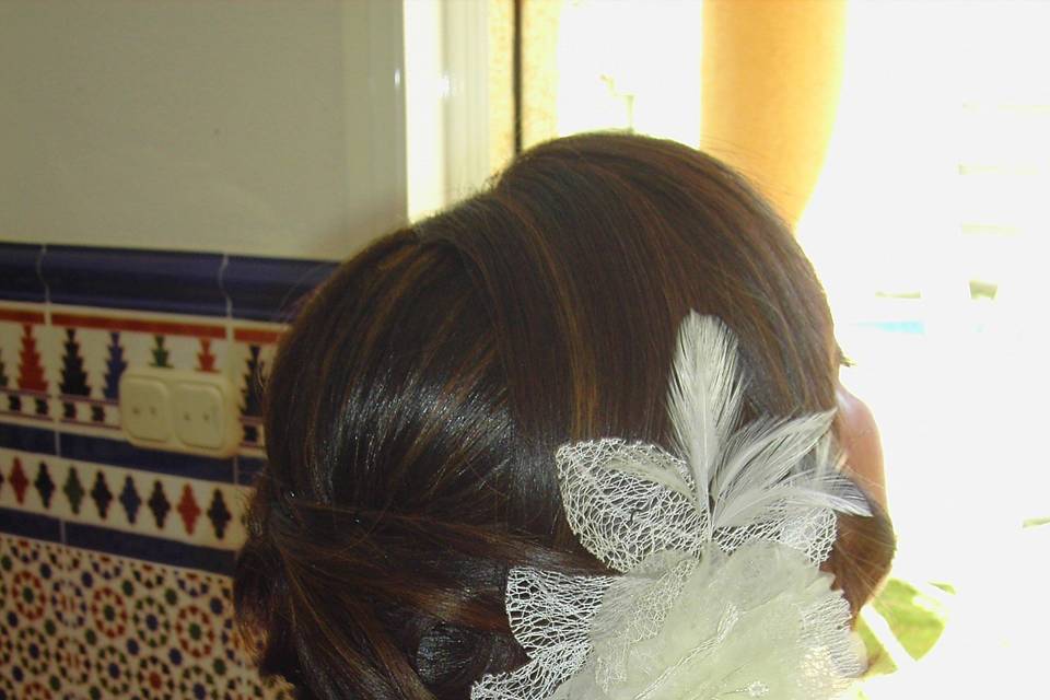 Recogido de novia