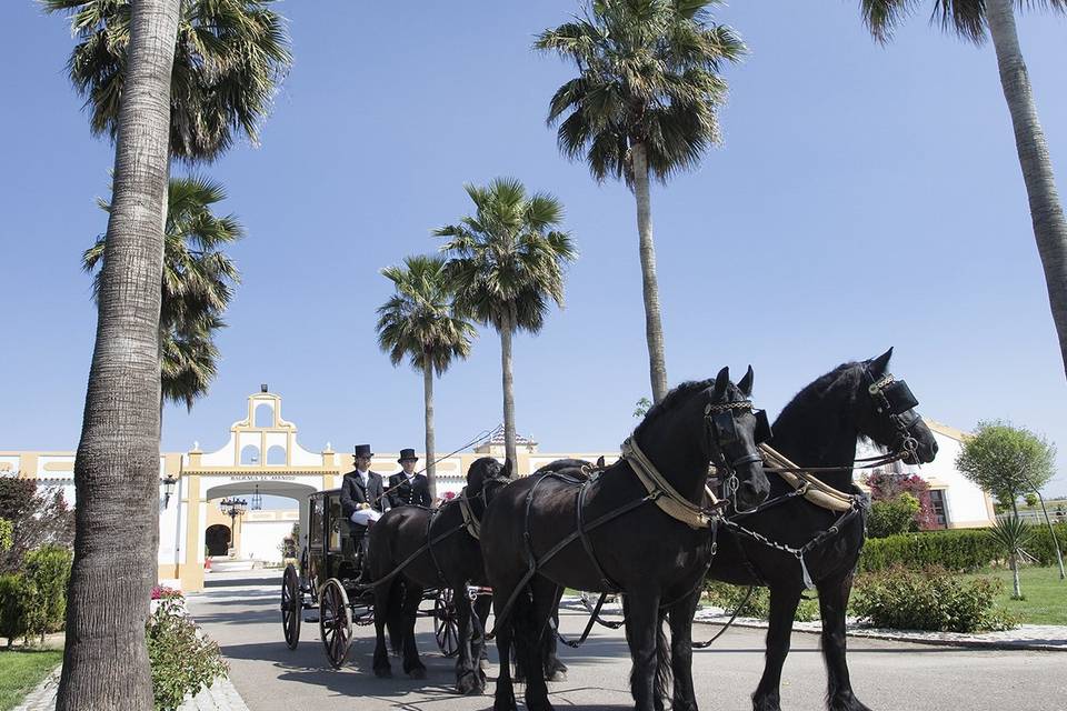 Bodas con encanto