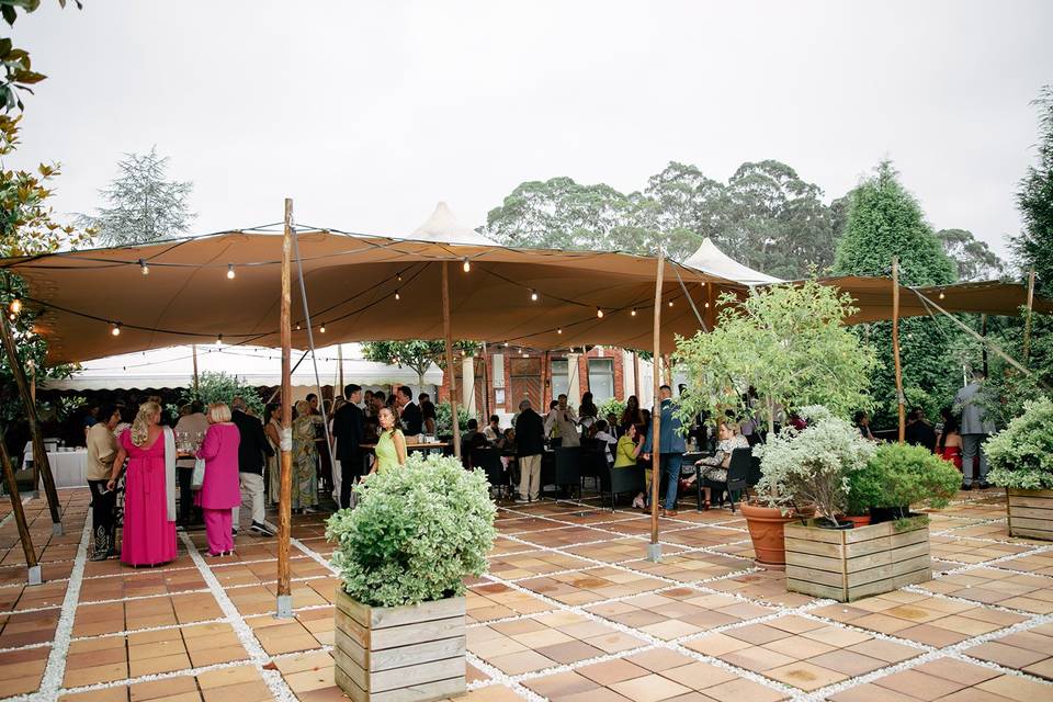Cóctel boda tipi