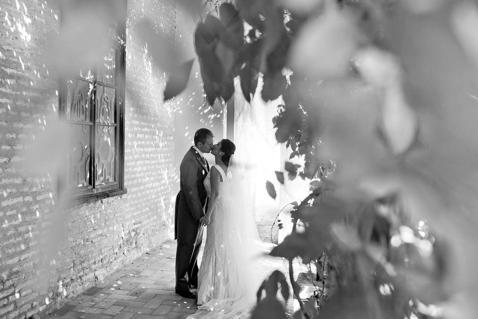Besos en el Real Alcázar
