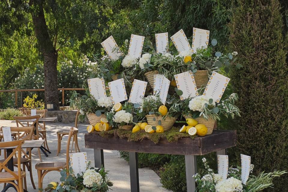 Seating plan