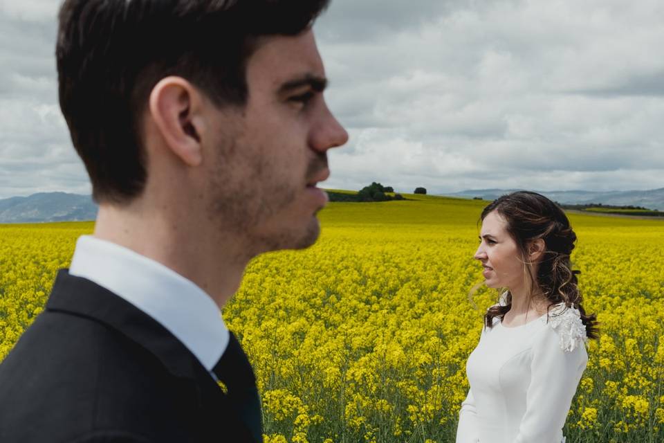 Postboda en Sos del Rey Católico