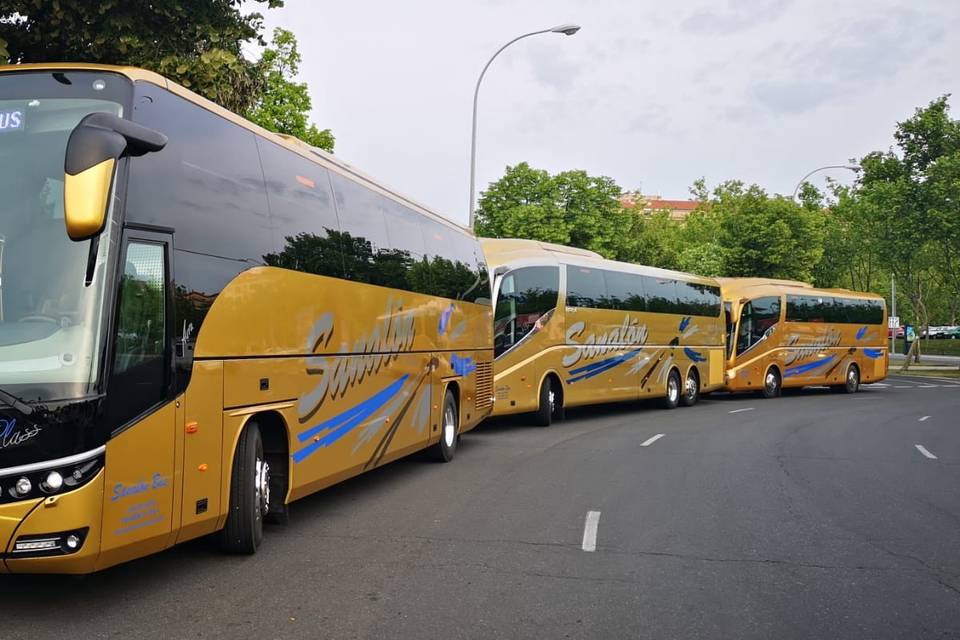 Autocares Sanalon Bus