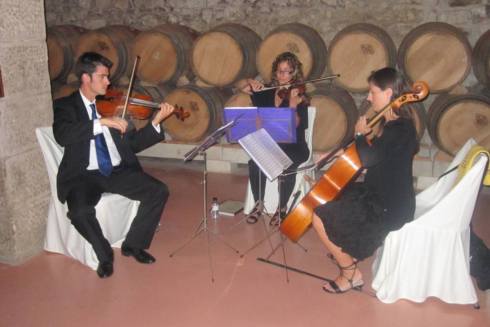 Ceremonia civil en una bodega