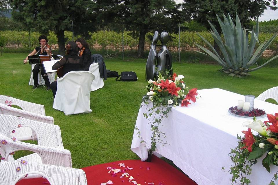 Violines y Violonchelo para Bodas