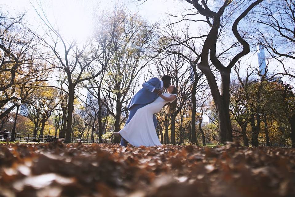 Central Park Foliage